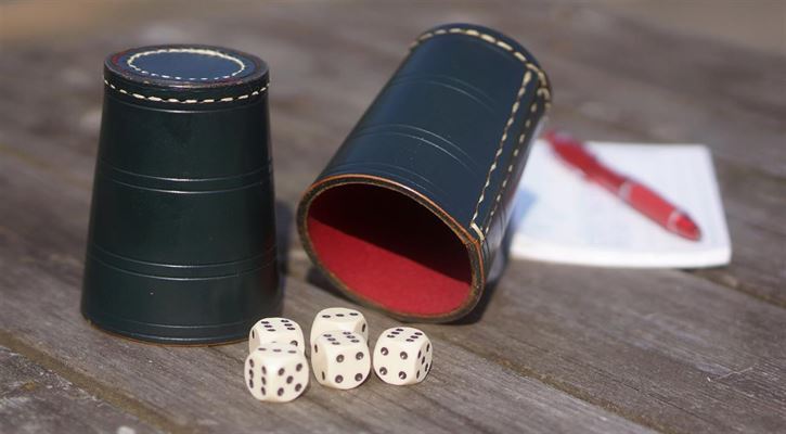 Kast dig ud i Yatzy og udfordr dine venner og din familie!